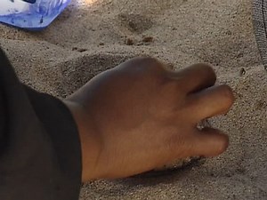 Native indian crafts