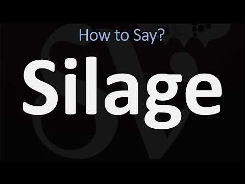 How to Pronounce Silage? (CORRECTLY)