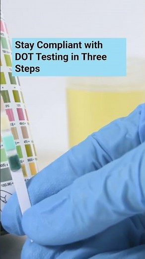 DOT Testing Process: From Order to Results