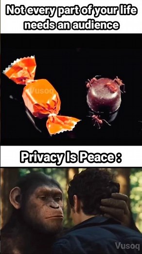 Not Everything in Life Needs an Audience Meme