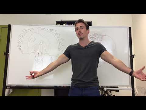 Muscles of respiration (inspiratory muscles)