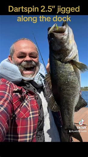 Fishing along the dock with tiny lures such as the Dartspin 2.5" paid with a fat bass!! #bass #fishing #lighttacklefishing #sebile #dartspin | Patrick Sebile's A Band Of Anglers