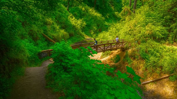 Silver Falls State Park, Oregon (4K) – Ten Waterfalls in One Epic Hike