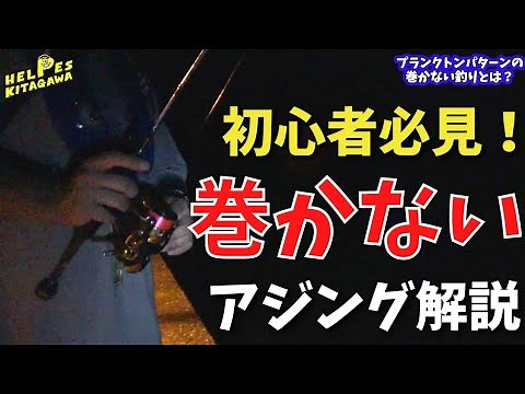 【アジング】初心者必見！1.0g以下のジグヘッドで釣る！巻かないアジングとは？動かさないプランクトンパターンでの釣り方 豆アジ