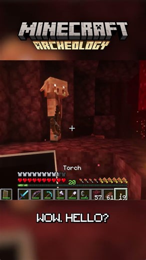 Accidentally made pulled pork in the Nether 🔥🐷