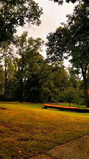 Thane Rivers on Instagram: "#goodmorning #morningcheer #positivity #affirmations #lumbersnack #beardedmen"