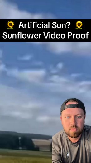 1.9K views · 13 reactions | #greenscreenvideo Artificial Sun  #artificialsun #fakesun #exlipse #foryou #solarflare #sunflower #metacowboy #conspiracy #viral | Erin Lawson | Facebook