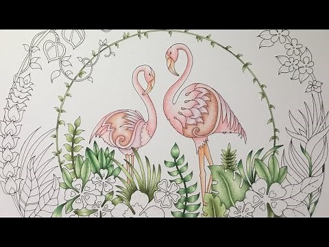 MAGICAL JUNGLE by Johanna Basford - prismacolor pencils - color tutorial part 1