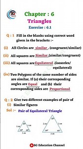 Class 10th Maths Chapter 6 Triangles Exercise 6.1 | New NCERT | CBSE Board | SG Education Channel