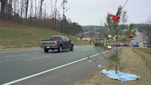 'Charlie Brown' Christmas tree delights Trussville travelers in a holiday tradition