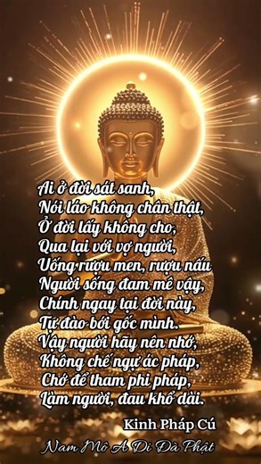 @ Kinh Pháp Cú #loiphatday