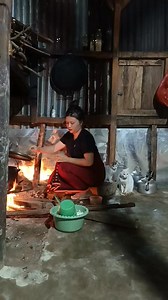 Laporrrr Ute bokok damit lembor ne.... Laporan selesai | Olyn Mahol