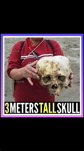 Forbidden truth on Instagram: "🔴 The Bolivian find is a large human skull of unusual shape, with an exceptionally large brain volume. 🔺 Visually, the right and left frontal areas are noticeably enlarged. Based on its size and color, the skull likely belonged to a person about 3 meters tall, and the light color of the bone suggests it is several thousand years old. 🔺 Interestingly, modern science holds that humans today have the largest brain volumes, which contradicts this ancient discovery. 
