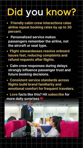 How Flight Stewardesses Influence Customer Loyalty