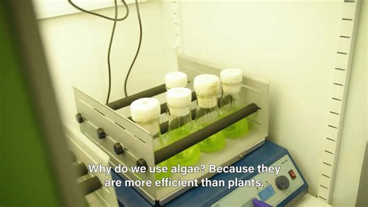 Liquid trees that clean up the air