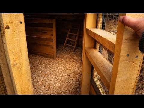 Building a Simple Wooden Door for a Pigeon Coop | DIY Pigeon Coop Door
