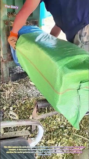 Hay Baling: The Process of Packing Hay Bales 🌾🌾