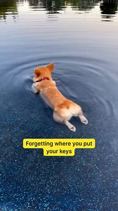 🔑 Lost keys = locked out. Same goes for your online accounts.​ Avoid digital lockouts and stay in control with Norton Password Manager. | Norton