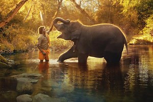 Stream It Or Skip It: ‘The Elephant Whisperers’ on Netflix, A Short Documentary About The “Beauty of Wild Spaces”