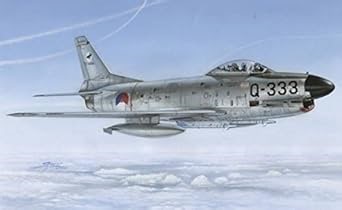 Amazon.com: Special Hobby F86K Sabre Dog NATO 全天候戰鬥機模型套組(1/72 比例) : 藝術、手工藝與縫紉