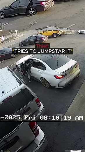 Man Confronts Car Thieves