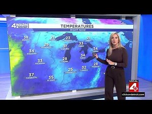 Kim Adams 12/03/2024 WDIV 4 NBC