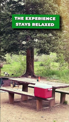 Clear Lake Campground, California: A Quick Peek