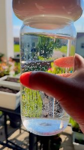 Sun-charged water, also known as solarized water or sun-infused water, is water that has been exposed to direct sunlight to absorb its energy and enhance its natural qualities. This ancient practice, rooted in Ayurveda and other traditional healing systems, is believed to restructure the water at a molecular level, making it potentially more beneficial for consumption and other uses. What happens when you drink sunlight charged water?Sunlight charged water has powerful anti-viral, anti-fungal, a