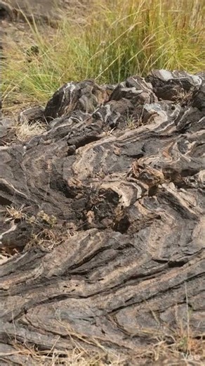 #Geology #folds FOLDS IN GEOLOGY