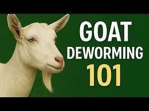 Goat Deworming 101: Signs of Worms & How to Keep Your Herd Healthy