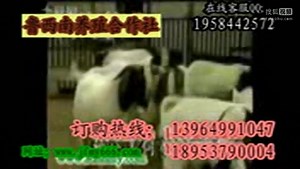 绵羊养羊技术大全