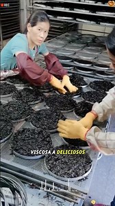 How Crispy Seaweed Is Really Made? #youtube #foryou #food #didyouknow #us