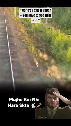 “World’s Fastest Rabbit — You Have to See This! 👀⚡” #shorts #unbelievable #animals