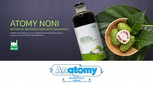 Absolute Product Anatomy 'Atomy Fermented Noni Concentrate' (CHINESE)
