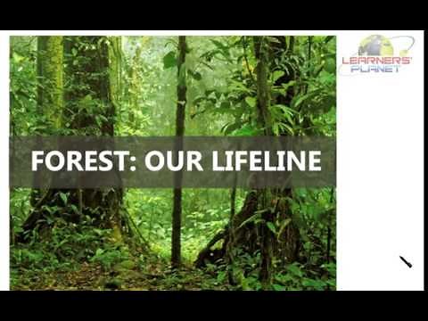 Class 7 forest-our lifeline video lesson 2 for CBSE science