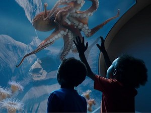 Birch Aquarium To Replace Hall Of Fishes With New 'Living Seas' Exhibition