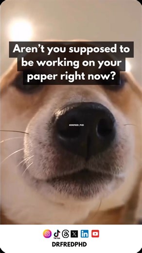 Dissertation Writing Service | Coach on Instagram: "Let’s be real—you’ve opened the doc, re-read the same sentence five times, scrolled aimlessly, and somehow convinced yourself you’ll “start after lunch.” Again. Tag someone who needs this reminder 👀 I help students with: – Structuring chapters – Literature reviews – Data analysis – Proofreading & formatting – Full thesis/dissertation support DM “HELP” if you’re stuck and let me help you finish strong, not frustrated #dissertation #thesis #phdp