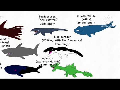 Sea Monsters Size Comparison 2025