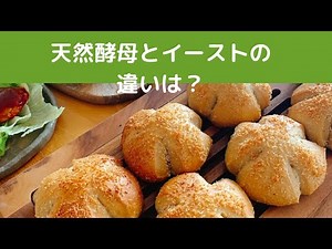 The Difference Between Natural Yeast and Commercial Instant Dry Yeast [Homemade Yeast Bread Class...