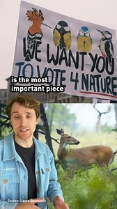 Some of the best good news stories from 2024 you may have missed! 📣 What’s your favourite feel-good story of the year (even if it’s not in this round up)? Share it in the comments and let's celebrate the wins together! 🥳👇 | Greenpeace UK