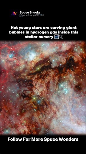 Stars Are Blowing Bubbles in This Cosmic Cloud 🌌🫧