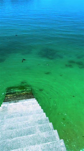 アオリイカ釣り！しまなみ海道の挑戦