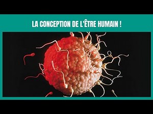 La conception de l'être humain expliquée.