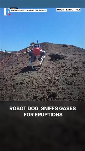 3.9K views · 31 reactions | #FPReels | Watch: Robot Dog Scales Mount...