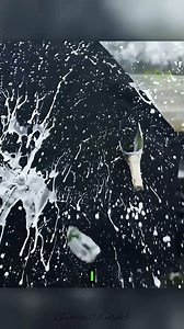 Bulletproof Umbrella. | Whatsup World