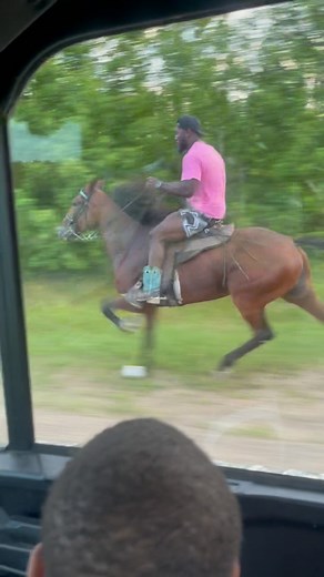 Devin White on Instagram: "Louisiana Keg Shod Singlefooting Horses “Bad Mamma Jamma” ! #horses #racking #mare"