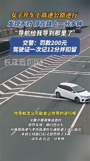 A woman drove on the highway against traffic: "The navigation system led me there."