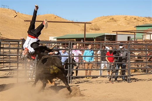 Watch new footage from the upcoming film 'Jackass Forever'