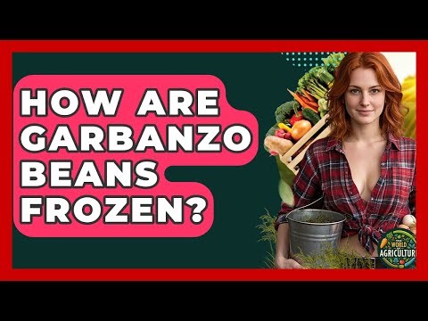 How Are Garbanzo Beans Frozen? - The World of Agriculture