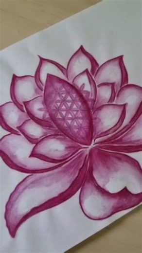 Easy Lotus Drawing Anyone Can Try!